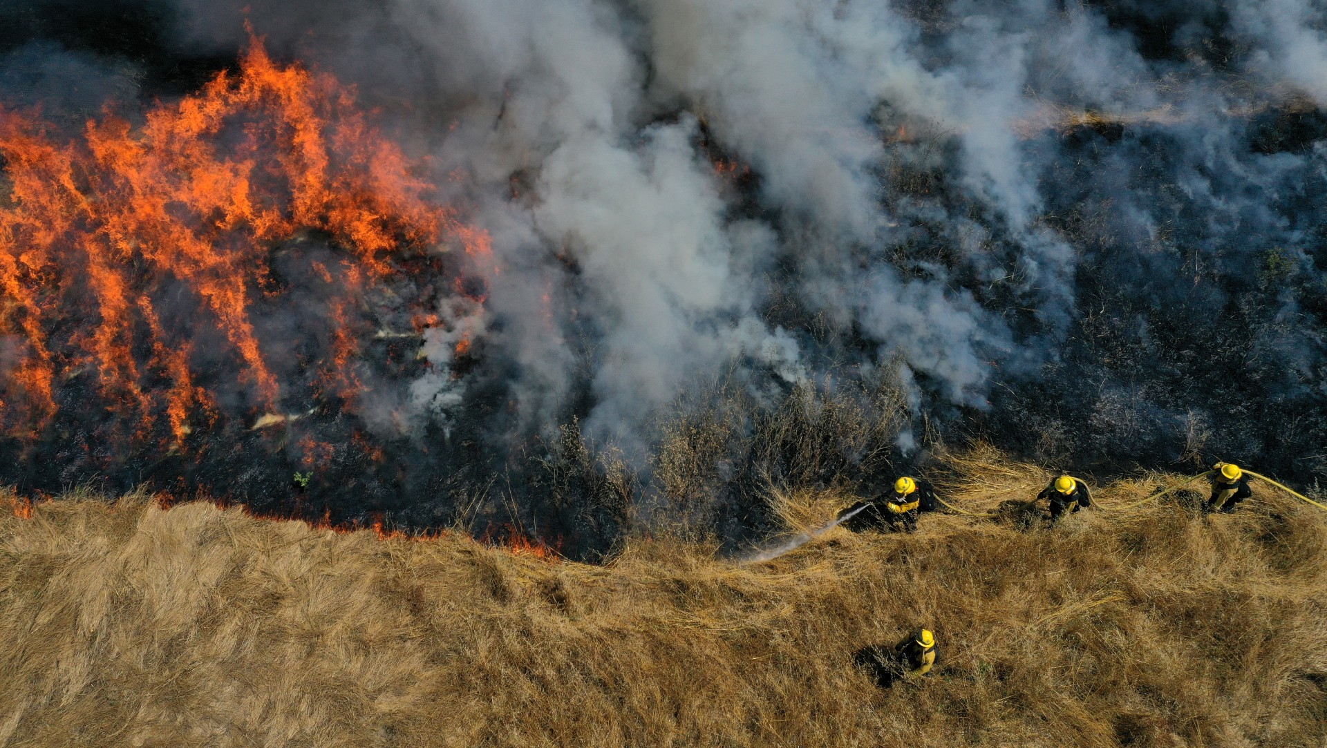 Drones plantan árboles tras incendios forestales